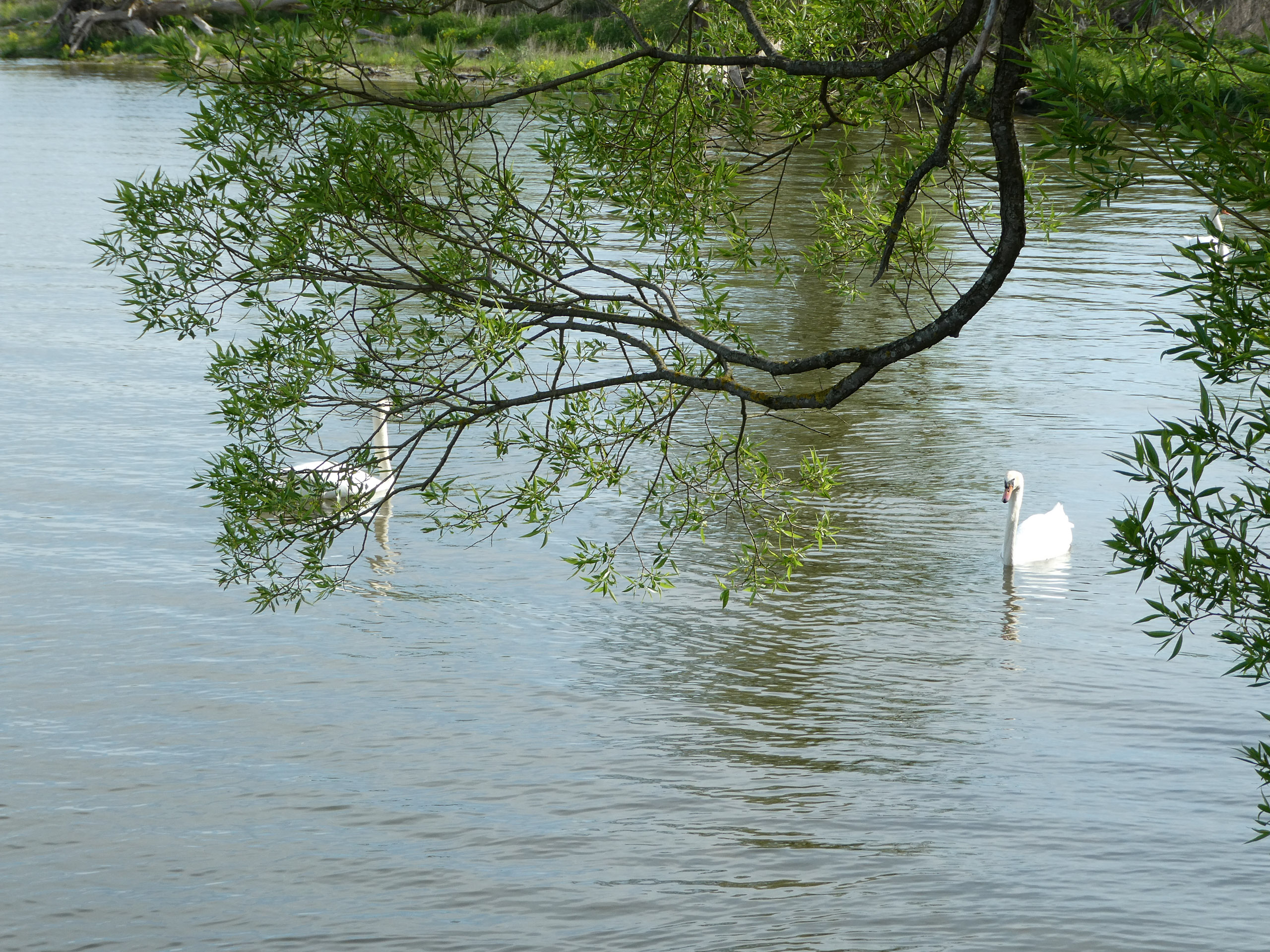 20230507091806 P1000215